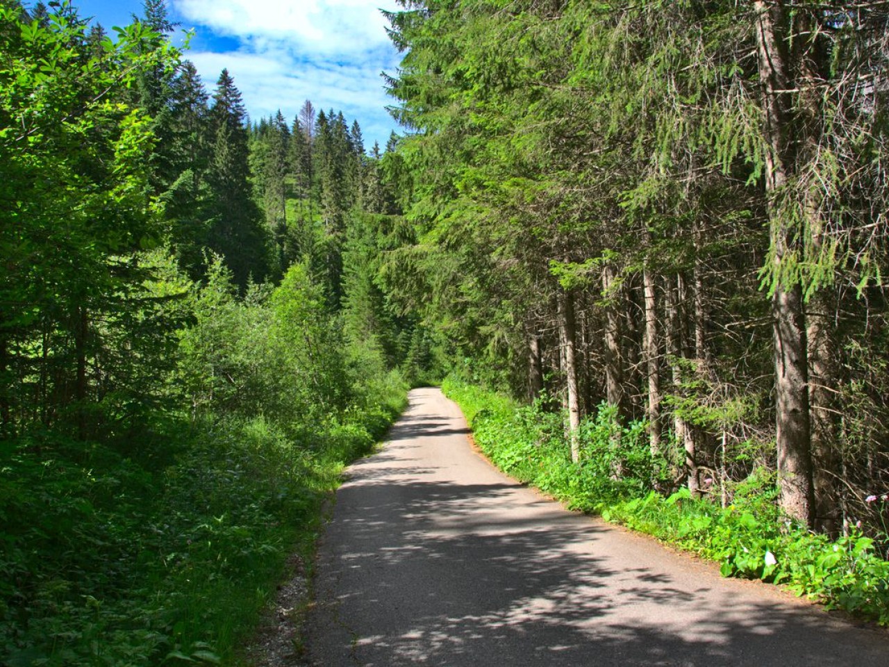  Weg nach Fallerschein
